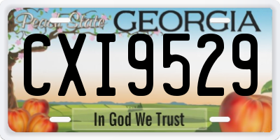 GA license plate CXI9529