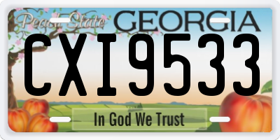 GA license plate CXI9533