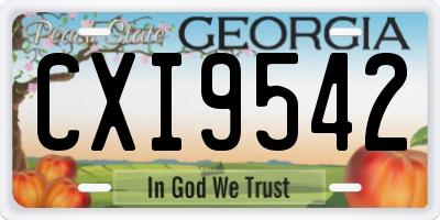 GA license plate CXI9542