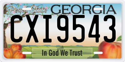 GA license plate CXI9543