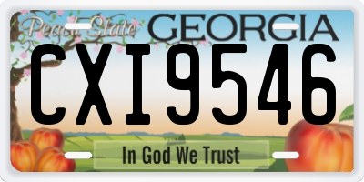 GA license plate CXI9546