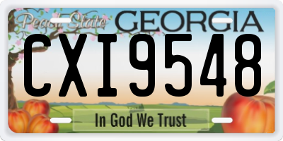 GA license plate CXI9548
