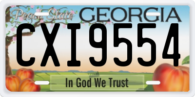 GA license plate CXI9554
