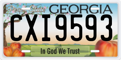 GA license plate CXI9593