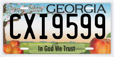 GA license plate CXI9599