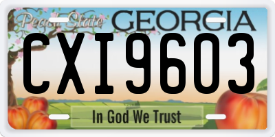 GA license plate CXI9603