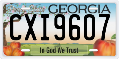 GA license plate CXI9607