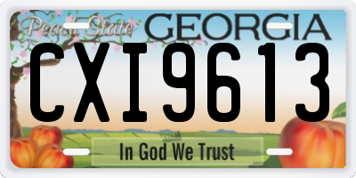 GA license plate CXI9613
