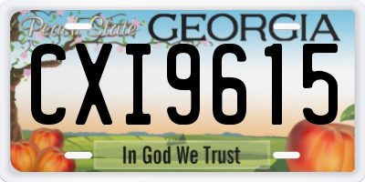 GA license plate CXI9615