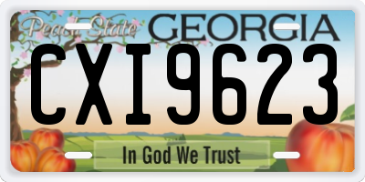 GA license plate CXI9623