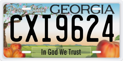 GA license plate CXI9624
