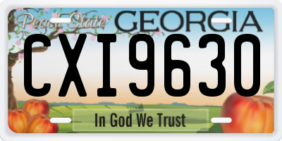 GA license plate CXI9630