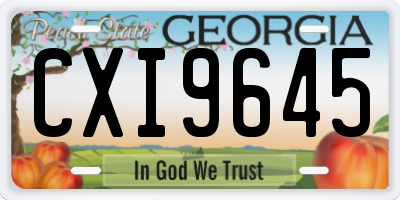 GA license plate CXI9645