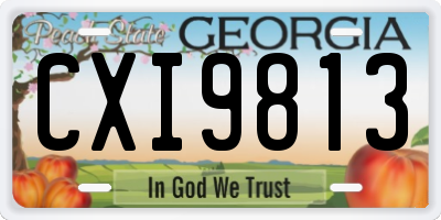 GA license plate CXI9813