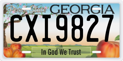 GA license plate CXI9827