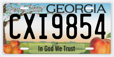 GA license plate CXI9854