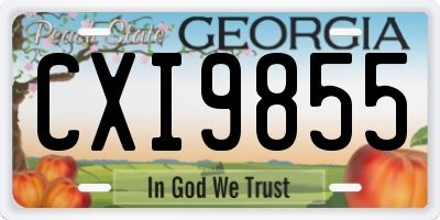 GA license plate CXI9855