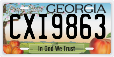 GA license plate CXI9863