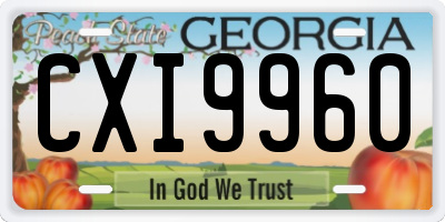 GA license plate CXI9960