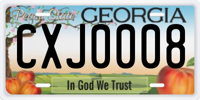 GA license plate CXJ0008