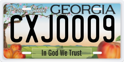 GA license plate CXJ0009