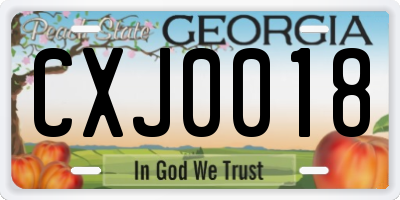 GA license plate CXJ0018