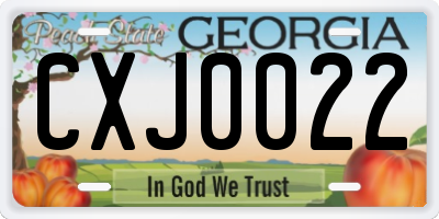 GA license plate CXJ0022