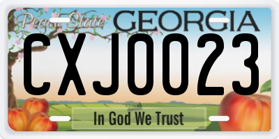 GA license plate CXJ0023