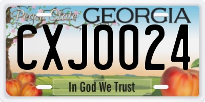 GA license plate CXJ0024