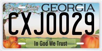 GA license plate CXJ0029