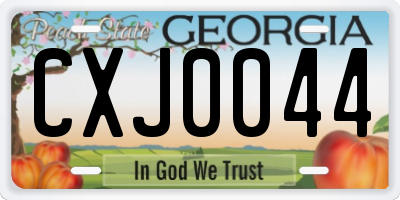GA license plate CXJ0044