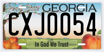 GA license plate CXJ0054