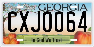GA license plate CXJ0064