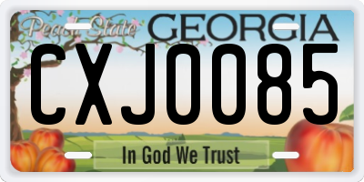 GA license plate CXJ0085
