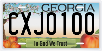 GA license plate CXJ0100