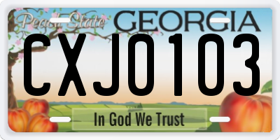 GA license plate CXJ0103