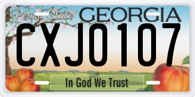 GA license plate CXJ0107
