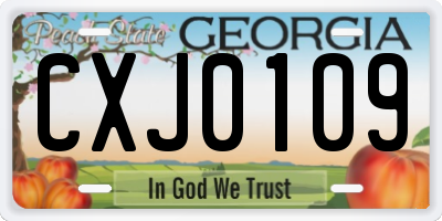GA license plate CXJ0109