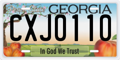 GA license plate CXJ0110