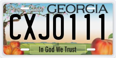GA license plate CXJ0111