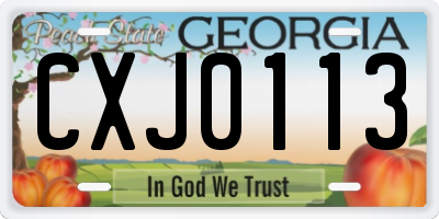 GA license plate CXJ0113