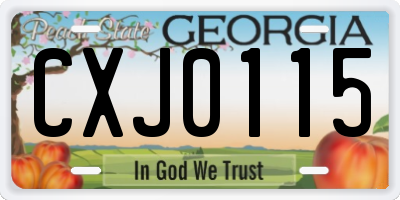 GA license plate CXJ0115