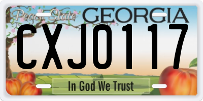 GA license plate CXJ0117