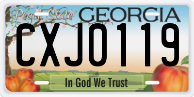 GA license plate CXJ0119