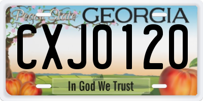 GA license plate CXJ0120