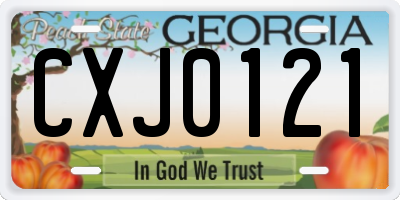 GA license plate CXJ0121