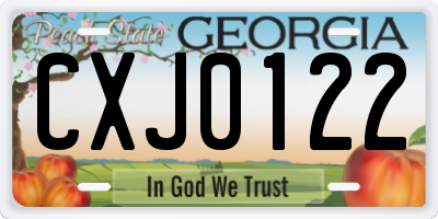 GA license plate CXJ0122