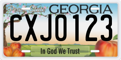 GA license plate CXJ0123
