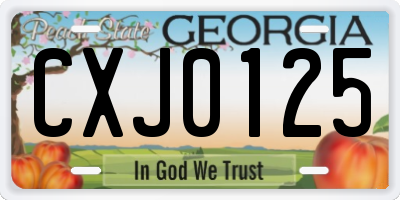 GA license plate CXJ0125