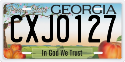 GA license plate CXJ0127